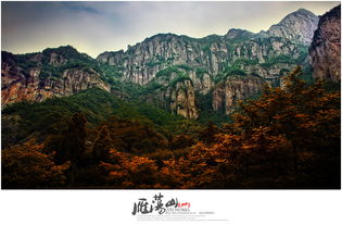 雁荡山 贰