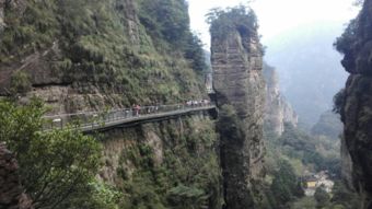 英国母子游雁荡山行李不翼而飞 民警耐心解乌龙 雁荡山茶苑