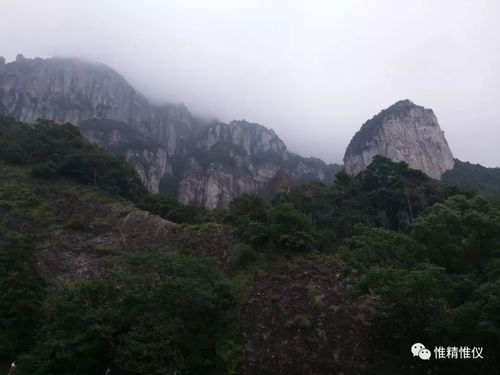 强健体魄,快乐生活——宁德项目队雁荡山徒步之旅与茶苑体验