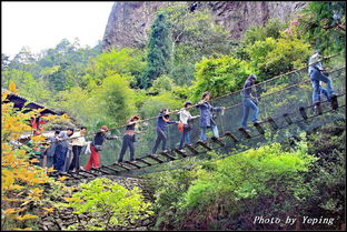 诗画浙江|楠溪雁荡山,幽谷茶香沁心脾