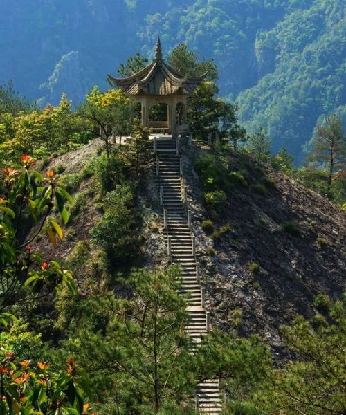 雁荡山茶韵,秦王宫光影——横店雁荡三日游体验