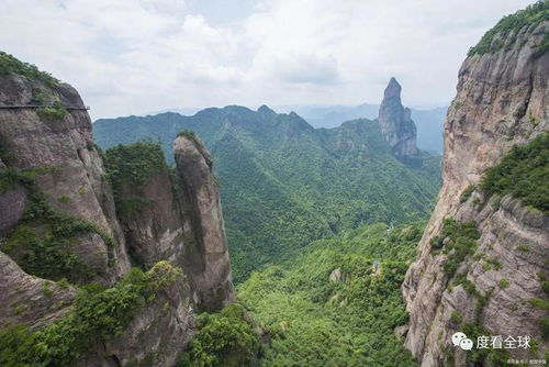 焕发活力 探索雁荡山 体验大自然的养心之旅与雁荡山茶苑