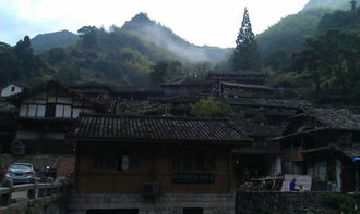 暑期雁荡山之旅——雁荡山茶苑