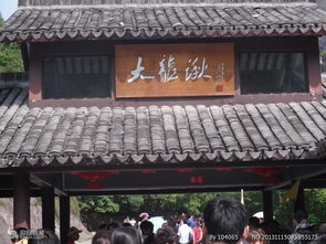 雁荡山茶苑 灵山秀水间的茶香雅韵