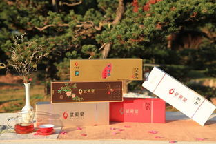 他们嚼鲜叶、学气象、茶园养鸡，只为奉上中秋好茶礼——雁荡山茶苑的匠心坚守