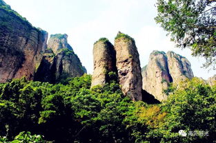 看山 看水 看雁荡,此时不约待何时