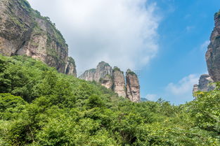 五月雁荡，山奇水秀桐花飘·雁荡山茶苑